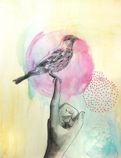 Rosa Vogel auf Finger von Christine Lindstrom