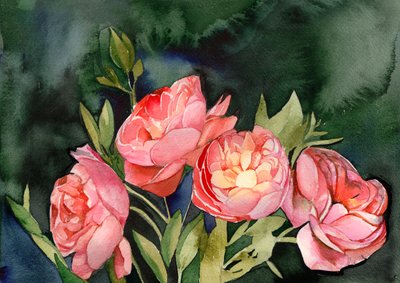 Rosa Aquarellblüten von Christine Lindstrom