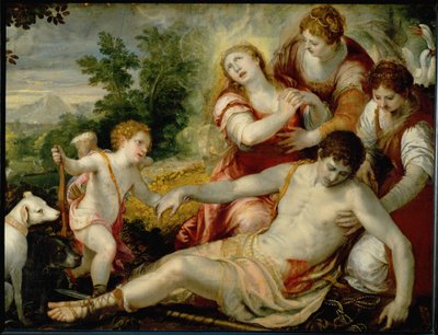 Tod des Adonis von Christoph Schwartz