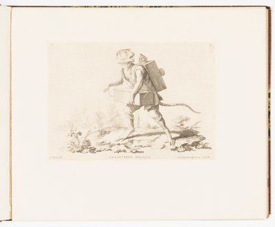 Platte 3, La Lanterne Magique (Die Zauberlaterne), Singeries ou différentes actions de la vie humaine représentées par des singes (Affenstreiche oder verschiedene Handlungen des menschlichen Lebens dargestellt von Affen) von Christophe Huet