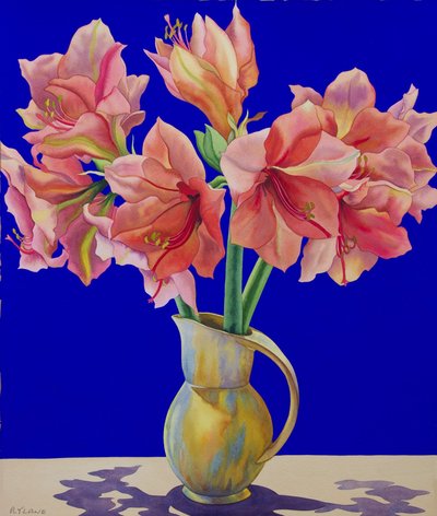 Amaryllis in einem Krug, 2007 von Christopher Ryland