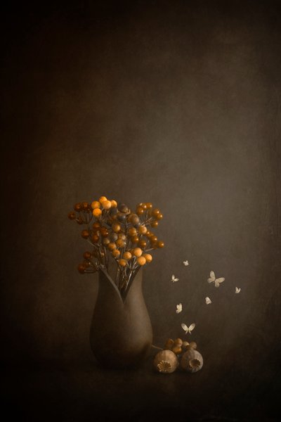 von Cicek Kiral