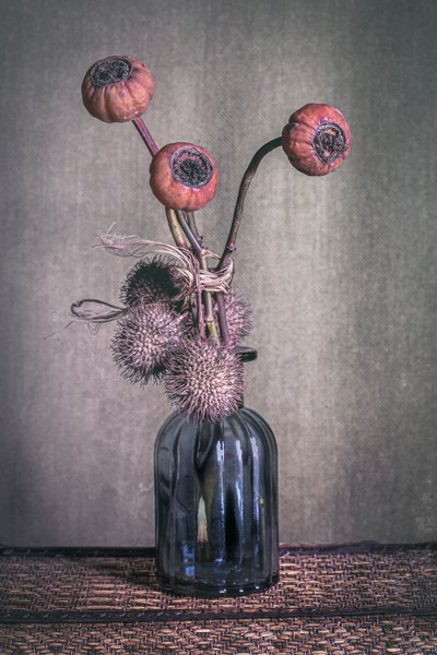  von Cicek Kiral