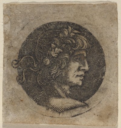 Kopf eines römischen Kaisers von Circle of Francesco Francia