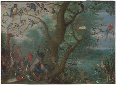 Konzert der Vögel von Circle of Jan van Kessel the Elder