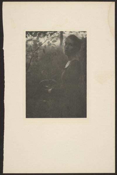 Waldrand - Abend von Clarence H. White