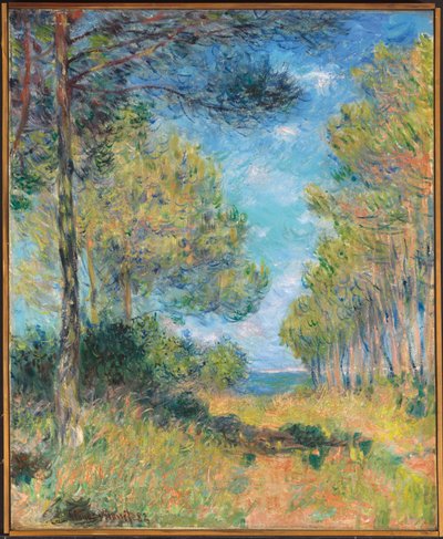 Kiefernweg in Varengeville, 1882 von Claude Monet