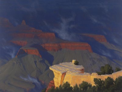 Grand Canyon Goldenes Licht von Cody DeLong