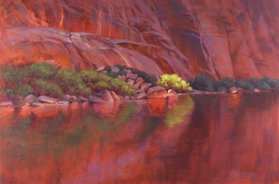 Roter Canyon Reflexionen von Cody DeLong