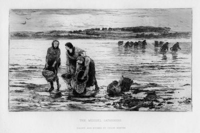 Die Muschelsammler von Colin Hunter