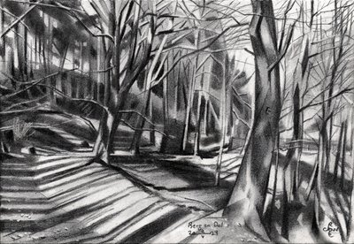 Waldweg-Schatten von Corné Akkers