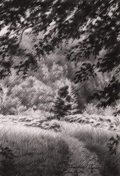 Friedlicher Waldweg von Corné Akkers