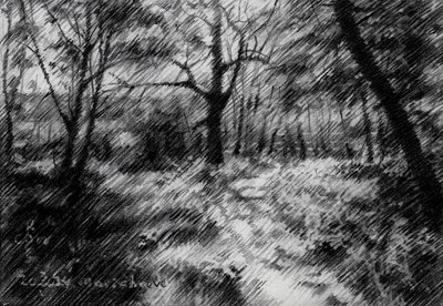 Beschatteter Waldweg von Corné Akkers