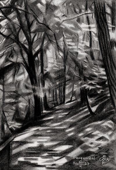 Sonniger Waldweg von Corné Akkers
