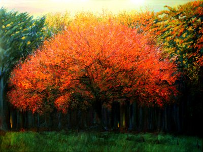 Lebendiger Herbstbaum von Corné Akkers