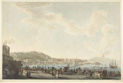 Ansicht des Hafens von Neapel von Cornelis Apostool