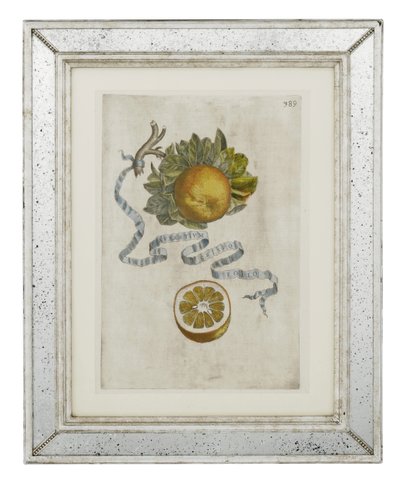 Gekräuseltes Blatt Orange, Tafel 389 aus 
