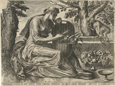Der Geschmack (Gustus) von Cornelis Cort