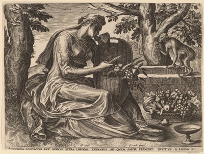 Gustus von Cornelis Cort after Frans Floris I