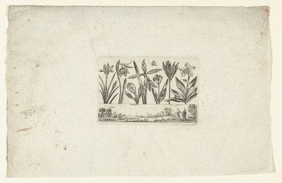 Reihe von Blumen über Landschaft von Cornelis Danckerts (I)