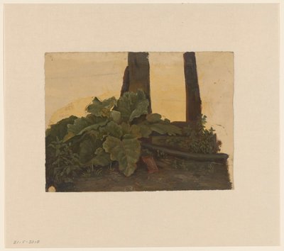 Pflanzen am Fuß eines Baumstamms von Cornelis Johannes de Vogel