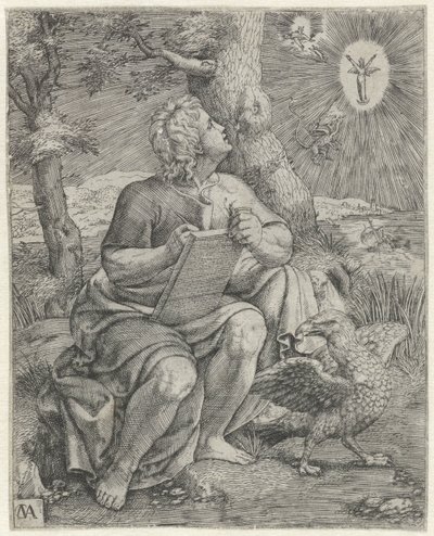 Der Evangelist Johannes von Cornelis Massijs