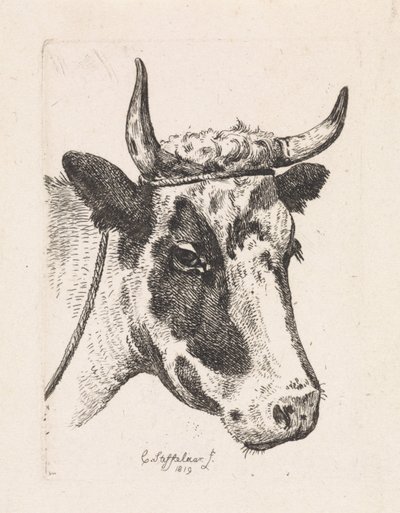 Kopf einer gefleckten Kuh von Cornelis Steffelaar