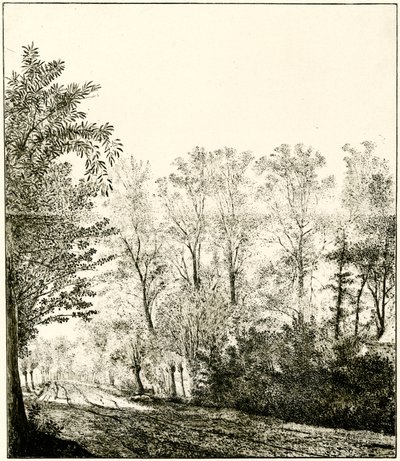 Pfad durch einen Wald von Hendrick Cornelisz. Vroom