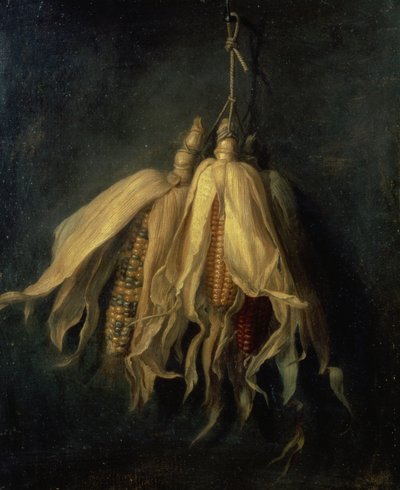 Drei Maiskolben, die an einem Nagel hängen von Cornelis van Spaendonck