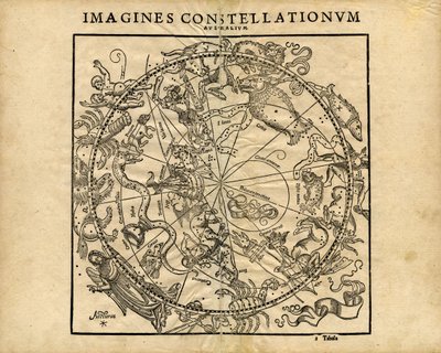 Imagines Constellationum Australium (Südlicher Himmelsglobus) von Coronensis & Petri Heinrich Honter