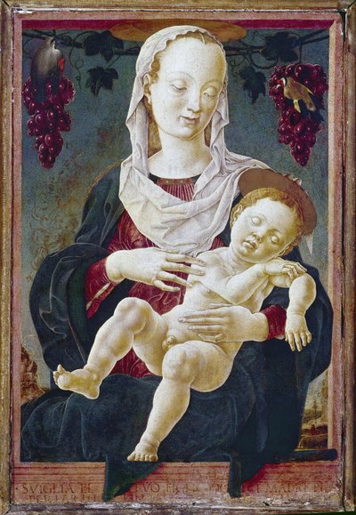 Madonna mit Kind, bekannt als Unsere Liebe Frau des Tierkreises, ca. 1459-63 von Cosimo Tura