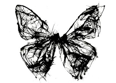 Schwarzer Schmetterling, 2021 von Courtenay Kusitor