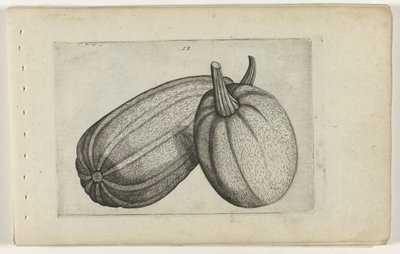 Zwei Melonen von Crispijn van de Passe (I) (attributed to)