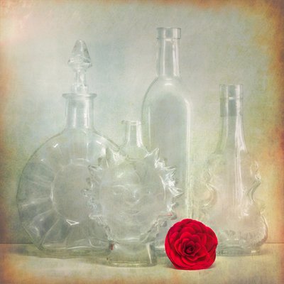 Vintage Flaschen Rote Blume von Cristiano Giani