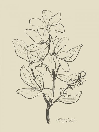 Floral 1 von Dan Hobday