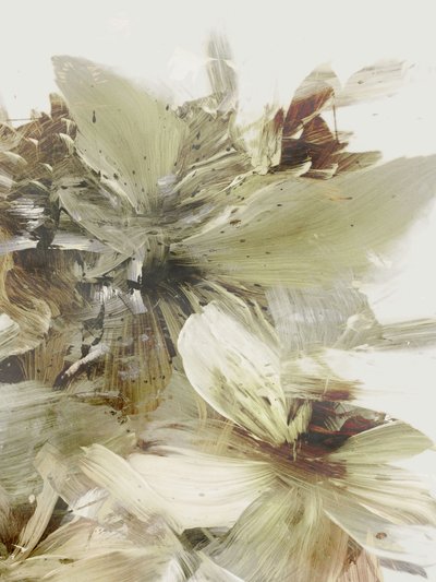 Hügelblumen 2 von Dan Hobday