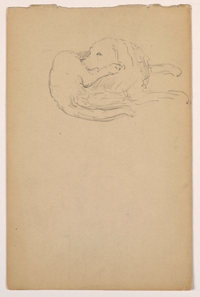 Zeichnung, Dash (ein Setter), ca. 1862 von Daniel Huntington