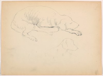 Milo (ein Pointer), Zwei Studien von Daniel Huntington