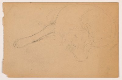 Miol (ein Pointer) von Daniel Huntington