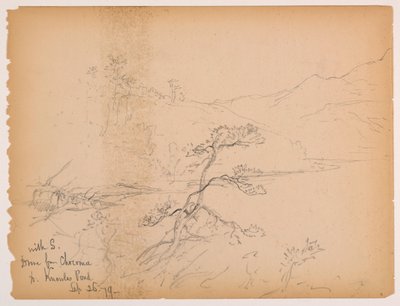 Fahrt von Chocorua zum Knowles-Teich von Daniel Huntington