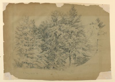 Studie von Bäumen, North Conway, New Hampshire von Daniel Huntington