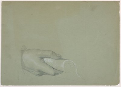Studie einer Männerhand für "Tributgeld" von Daniel Huntington