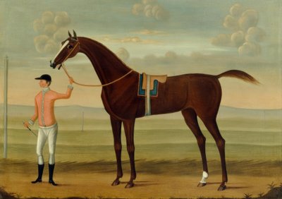 Ein Bay-Rennpferd mit seinem Jockey auf einer Rennbahn von Daniel Quigley
