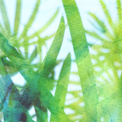 Aquarellgrünes Gras von Danushka Abeygoda
