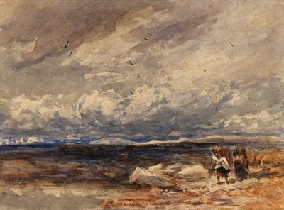 Auf Carrington Moss von David Cox