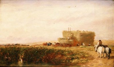 Das Heufeld von David Cox