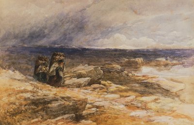 Die Torfstecher bei Bettws-Y-Coed, Nordwales von David Cox