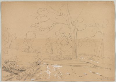 Landschaft mit einem Mann beim Angeln, Conway, New Hampshire, 1851 von David Johnson