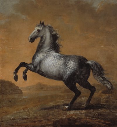 Der kleine Engländer, Pferd von König Karl XI. (1655-97) von David Klöcker Ehrenstrahl