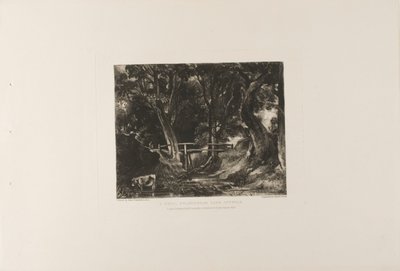 Ein Tal, Helmingham Park, Suffolk von David Lucas